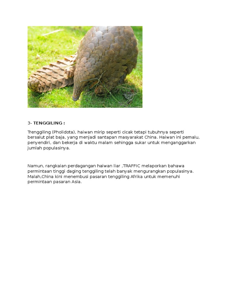 Haiwan Haiwan Terancam Pdf