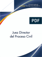 Juez Director Del Proceso Civil 