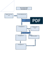 Farmakodinamik Parasetamol