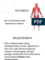 Otot Dan Fasia