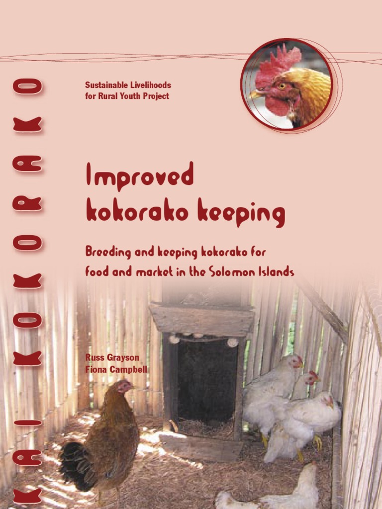 Breeding and Keeping Chickens in the Solomon Islands Chicken Poultry