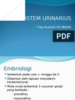 Embriologi Sistem Urinaria