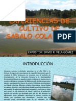 Documents.tips Experiencias de Cultivo de Sabalo Cola Roja (1)