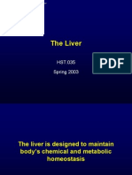 The Liver: HST.035 Spring 2003