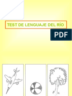 259322205-Test-de-Lenguaje-Del-Rio.ppt