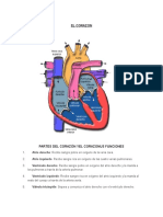 El Corazon