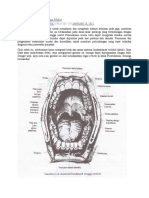 Anatomi Landmark Rongga mulut