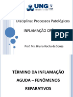 6) Inflamação Crônica