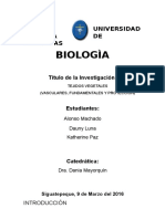 Tejidos vegetales: vasculares, fundamentales y protección