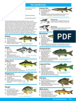 Ontario Fish Identification Guide