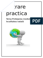 Lucrare Practica.Protectia