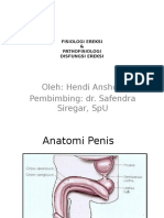 FISIOLOGI EREKSI Referat REVISI