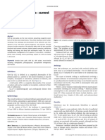 Cleft Lip, Review