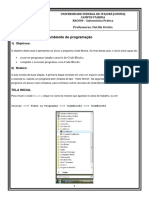 Roteiro Prático 1 PDF