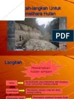 Langkah-Langkah Untuk Memelihara Hutan