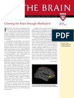 02 Growing the Brain Through Meditation