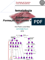 Eritropoese-formação-células-vermelhas