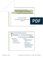 Organos Societarios PDF