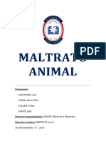 Maltrato Animal