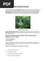 Download Tanaman Obat Kumis Kucing by Dede Last SN306331472 doc pdf