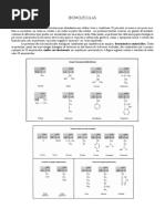 BIOMOLÉCULAS