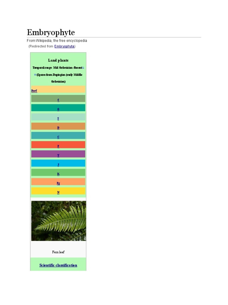 Embryo Phy Te | PDF | Social Science | Home & Garden