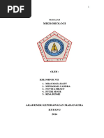 Download Asal Mula Penemuan Virus Dan Ciri-ciri Virus by SiqCray SN306345527 doc pdf