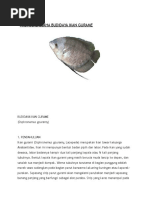 Analisis Usaha Budidaya Ikan Gurame Analisis Usaha Budidaya Ikan Gurame