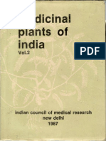 OcimumSanctum - Indian Medicinal Plant