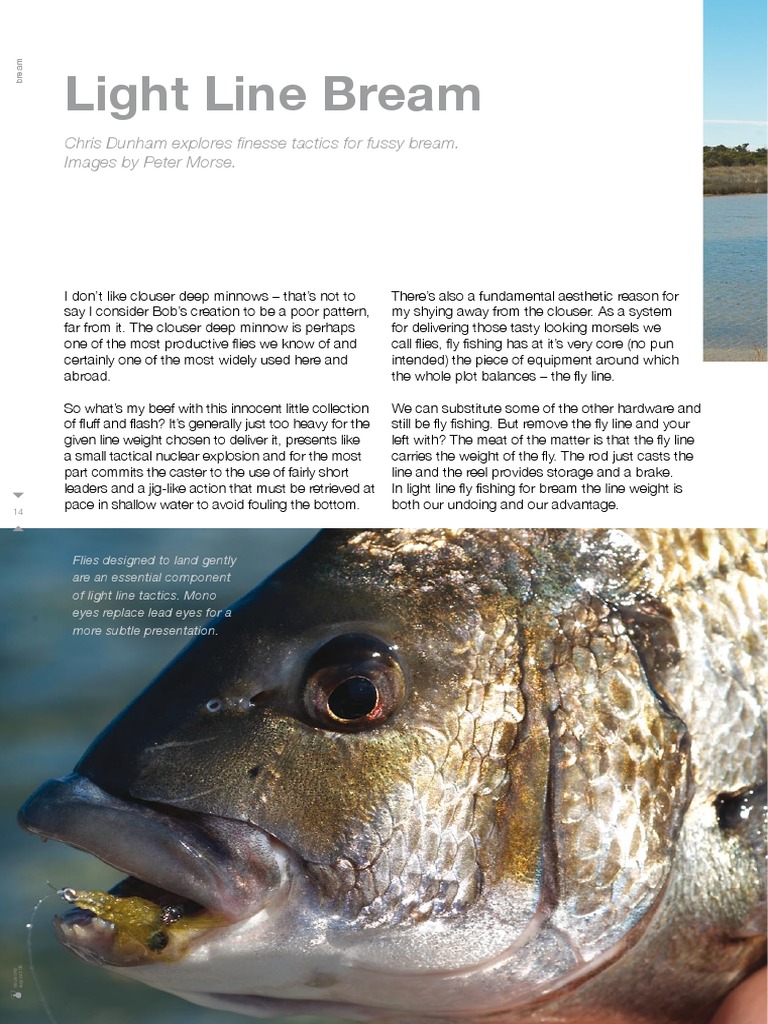 Light Line Bream Chris Dunham Explores Finesse Tactics For Fussy Bream