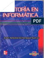 Auditoria Informatica - Echenique