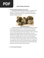 86631341 Phylum Brachiopoda