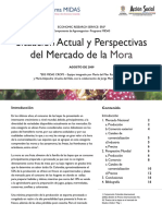 Mercado Situacion Actual y Perspectivas MORA PDF