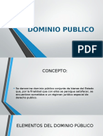 DOMINIO PUBLICO.pptx