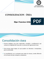 Consolidacion Osea