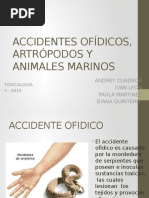 Download Accidentes Ofdico Artrpodo y Animales Marinos by jaris79 SN306391275 doc pdf