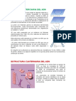 Estructura Terciaria y Cuaternaria Del Adn