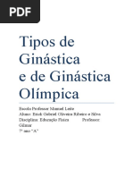Tipos de Ginástica