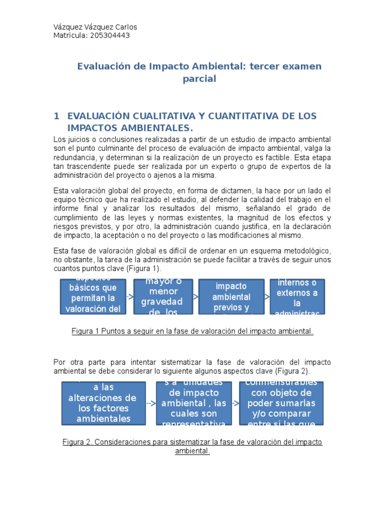 Valoración de Impacto Ambiental | PDF | Degradación ambiental ...