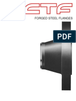 CCTF- Forged Steel Flanges