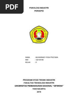 Persepsi Pdf