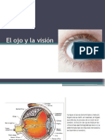 Ojo, Vision