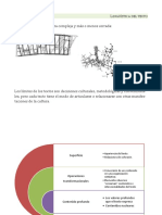 Coherencia y Cohesión