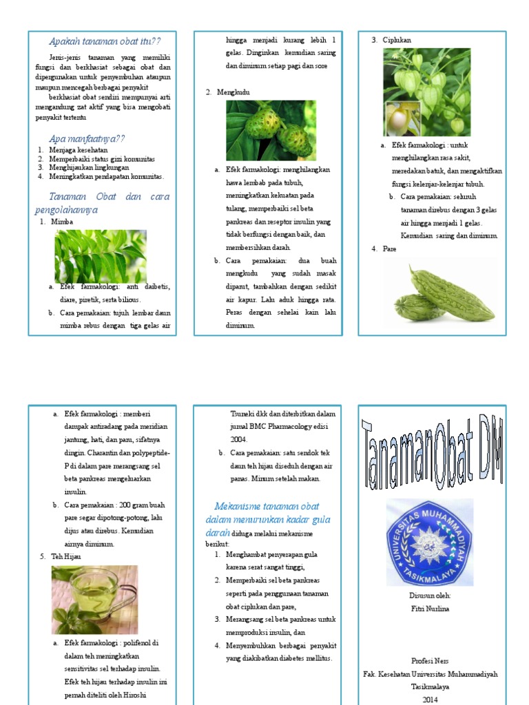 Leaflet Tanaman Obat Dm Pdf