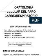 Paro Cardiorespiratorio