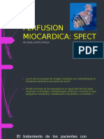 Perfusion Miocardica