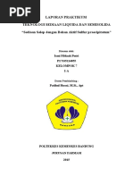Download Laporan Praktikum Salep dengan bahan aktif Sulfur Pp by Ismi Fildzah Putri SN306476045 doc pdf