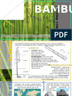 Sistema Constructivo de Bambu