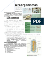 Miroorganismos 2º de Bachillerato