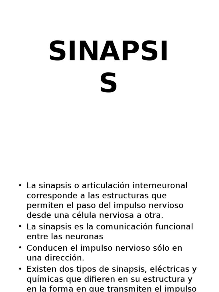 Tipos y Funciones de la Sinapsis Neuronal | PDF | Sinapsis | Neurona